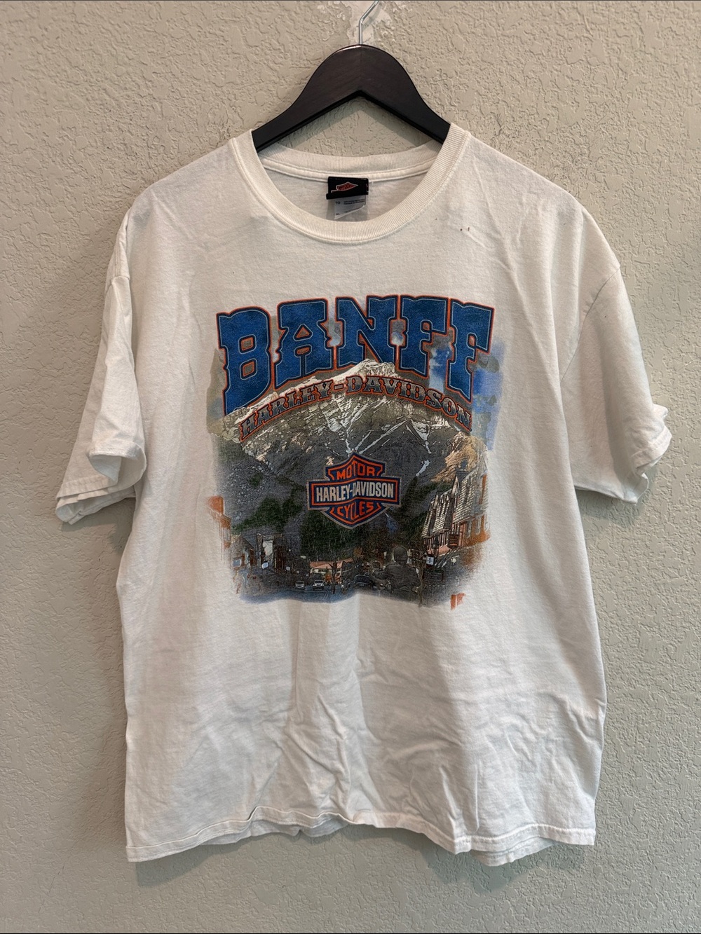 VintageHarley-Davidson White Banff Scenic Graphic Tee with Blue and Orange XL